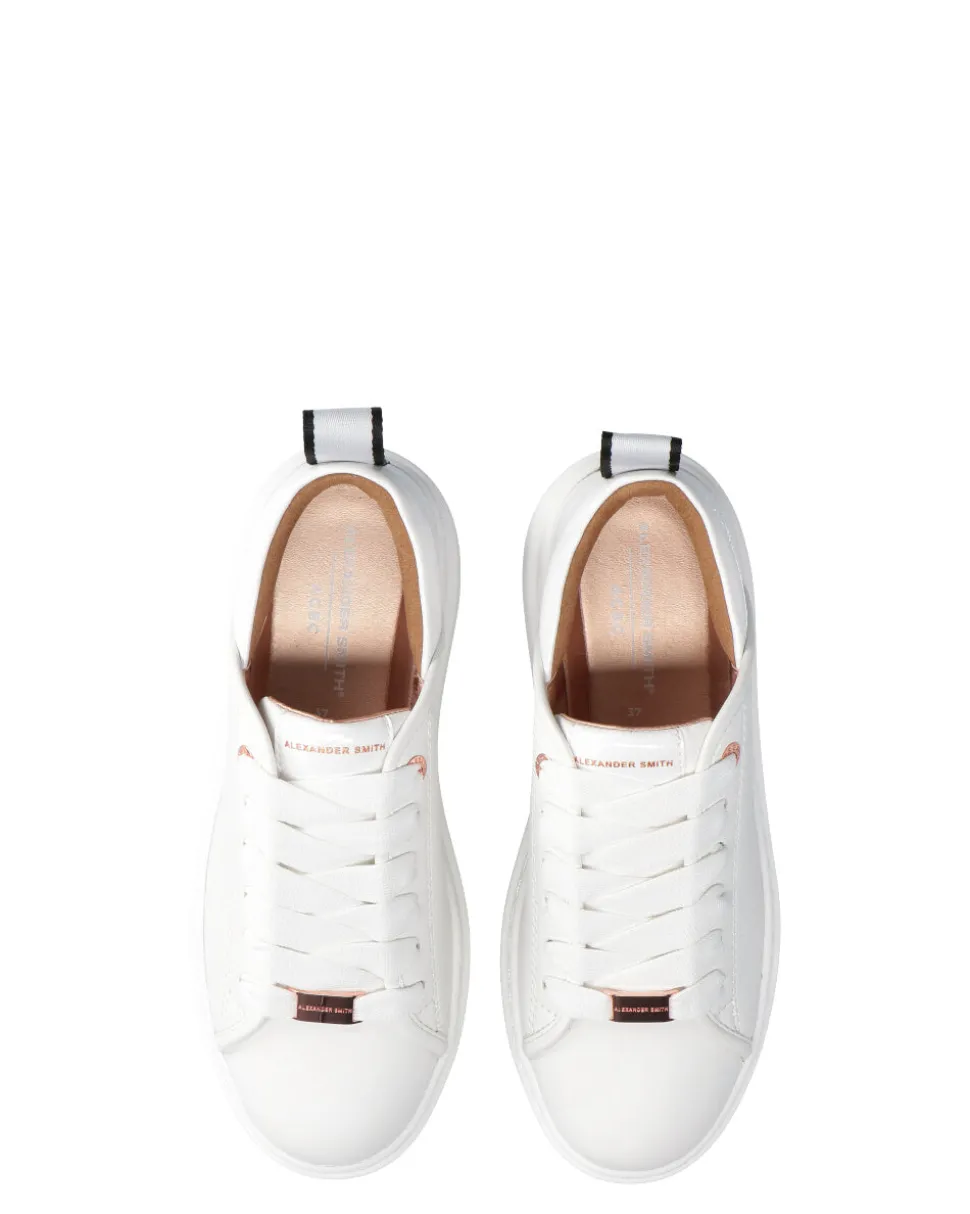 shssnswazewwpe_3-4.webp SHSSNSWAZEWWPE0001