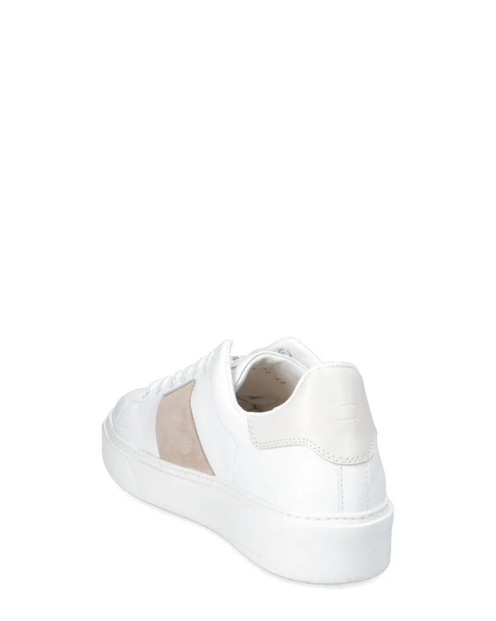 wrssnsmpe_2-4.webp WRSSNSM02050PE0983